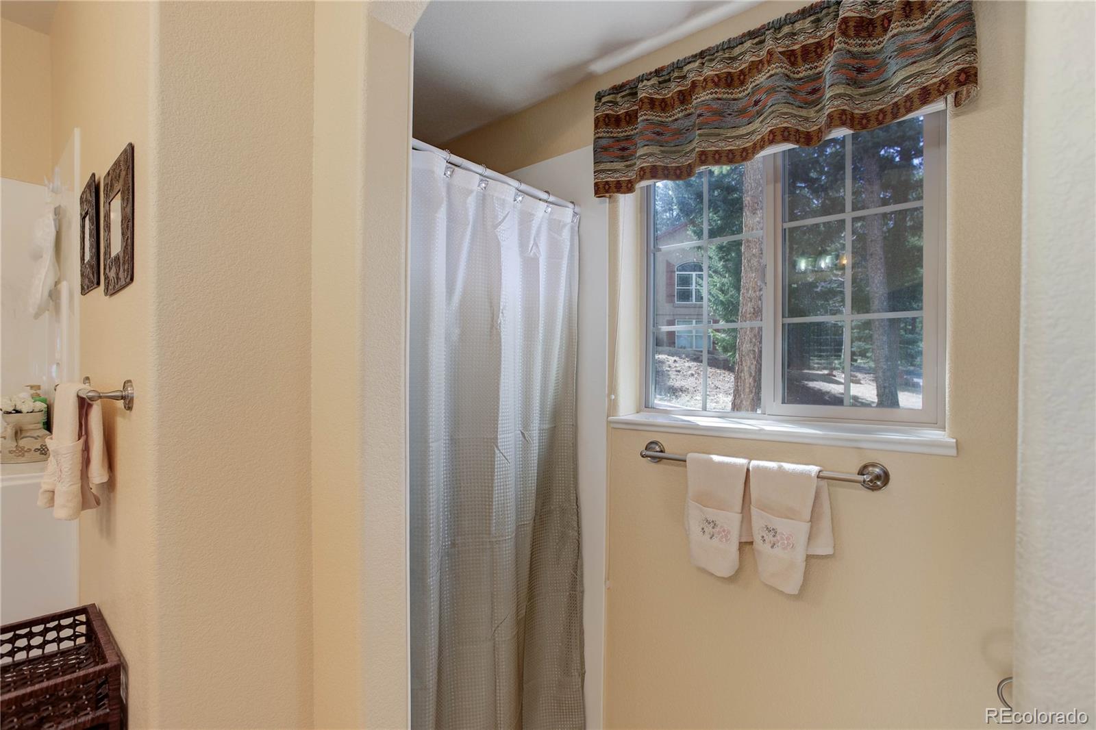 MLS Image #14 for 1145  windflower lane,woodland park, Colorado