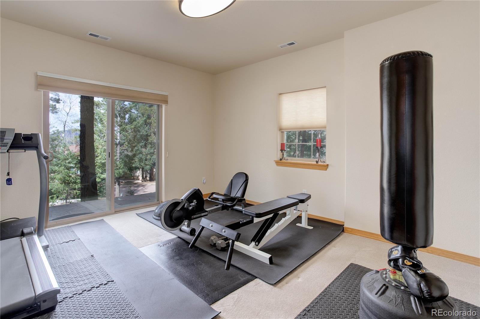 MLS Image #25 for 1145  windflower lane,woodland park, Colorado