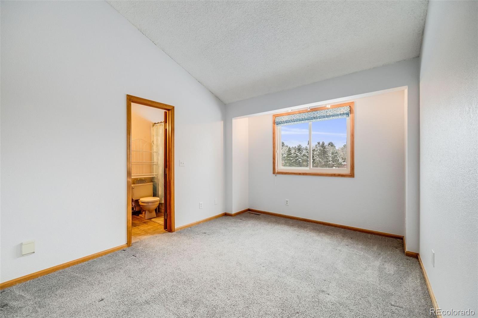 MLS Image #16 for 163  ward court,lakewood, Colorado