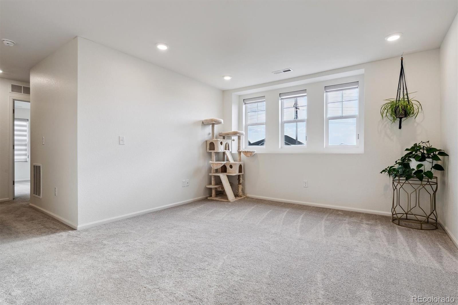 MLS Image #16 for 3358  bluestem street,dacono, Colorado