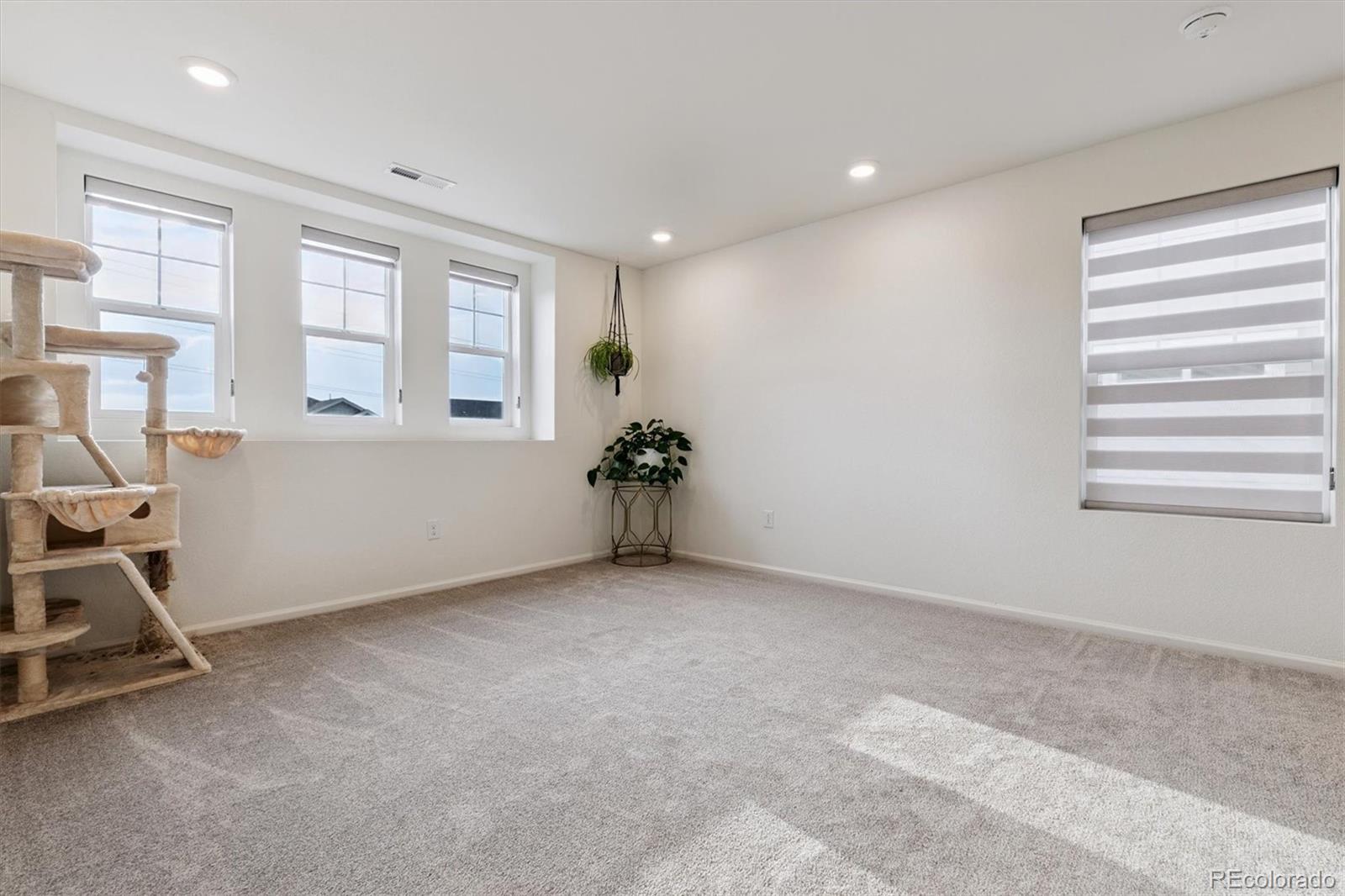 MLS Image #17 for 3358  bluestem street,dacono, Colorado