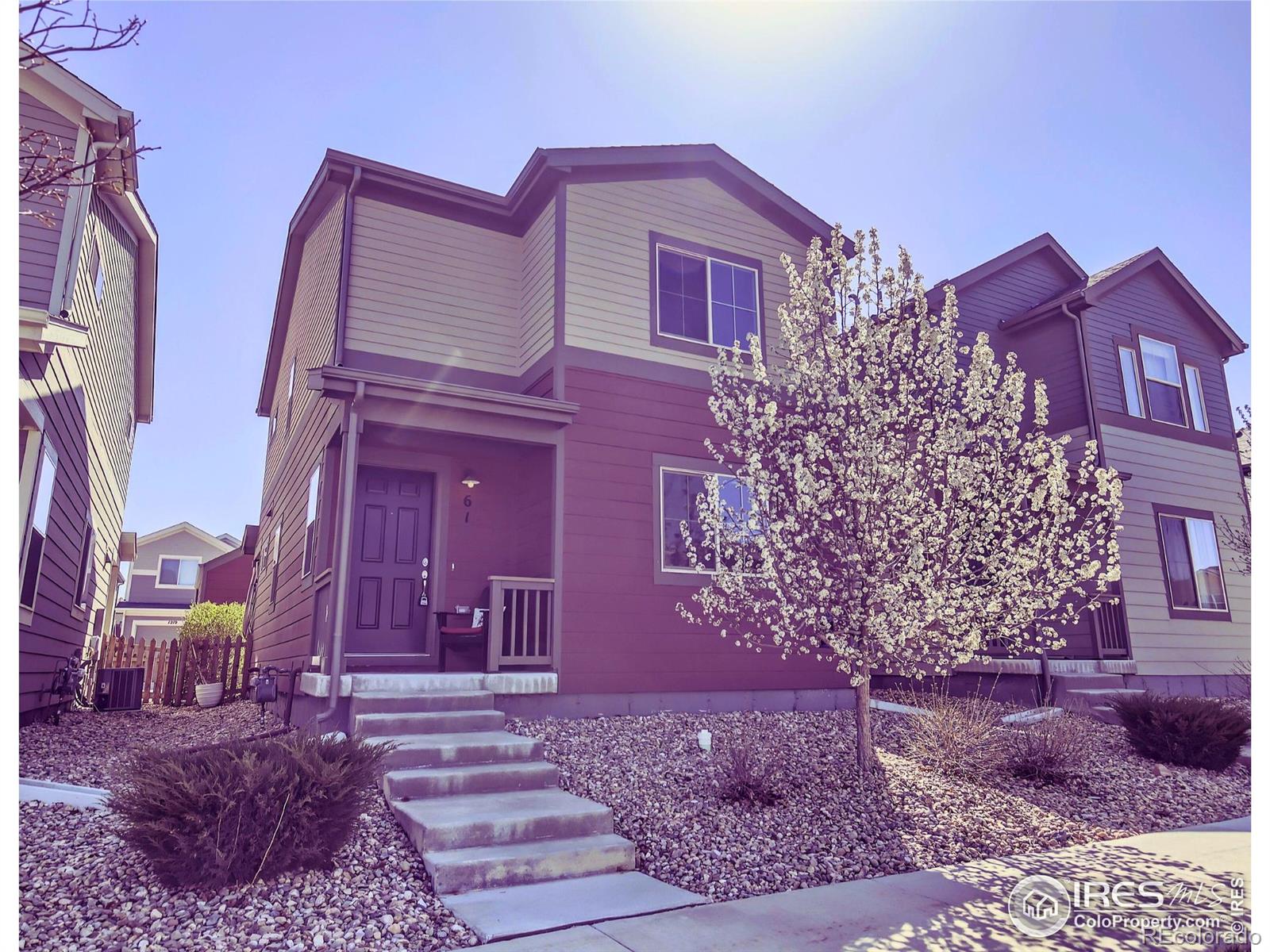 MLS Image #0 for 61  avocet court,longmont, Colorado