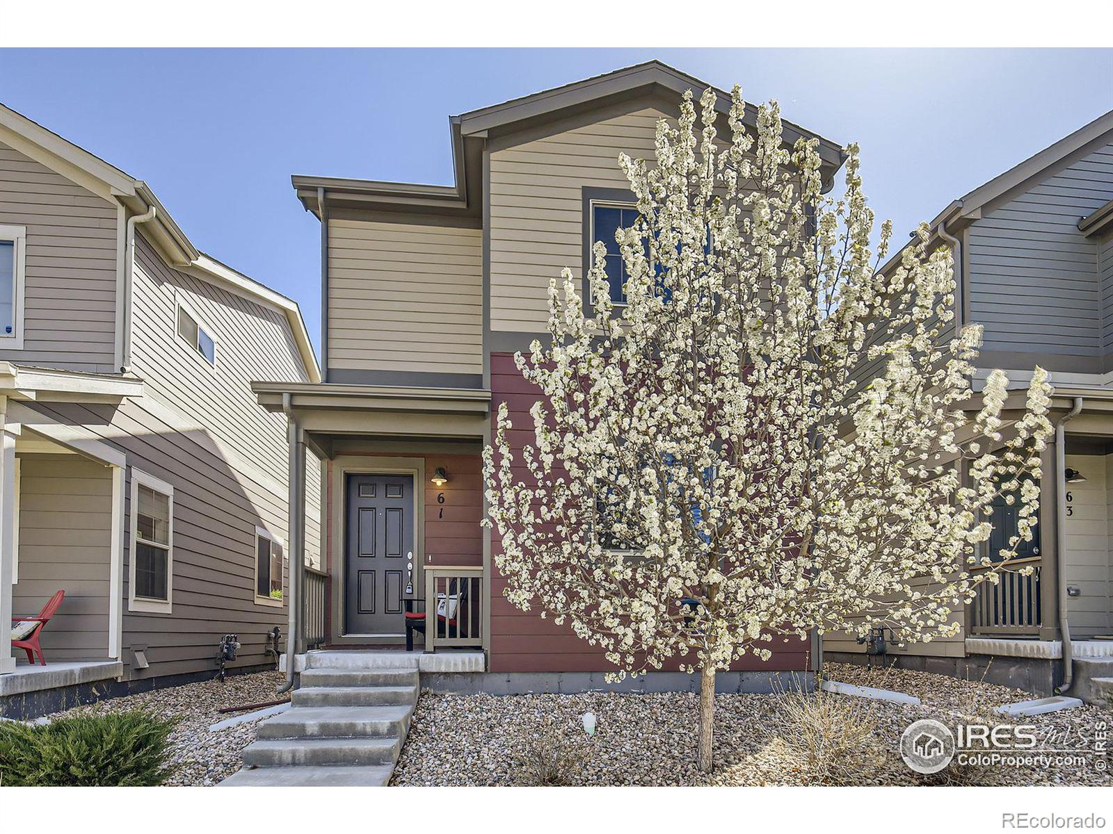 CMA Image for 61  avocet court,Longmont, Colorado