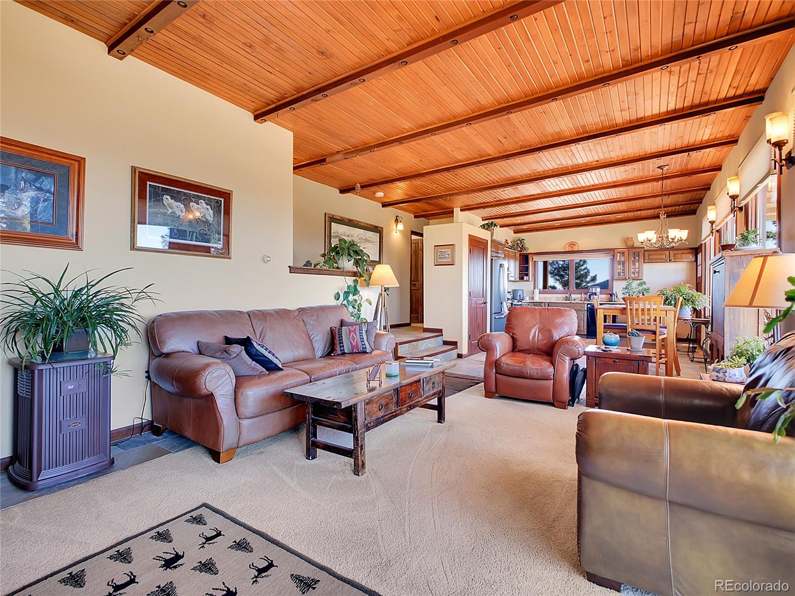 MLS Image #14 for 13012 s wamblee valley road,conifer, Colorado