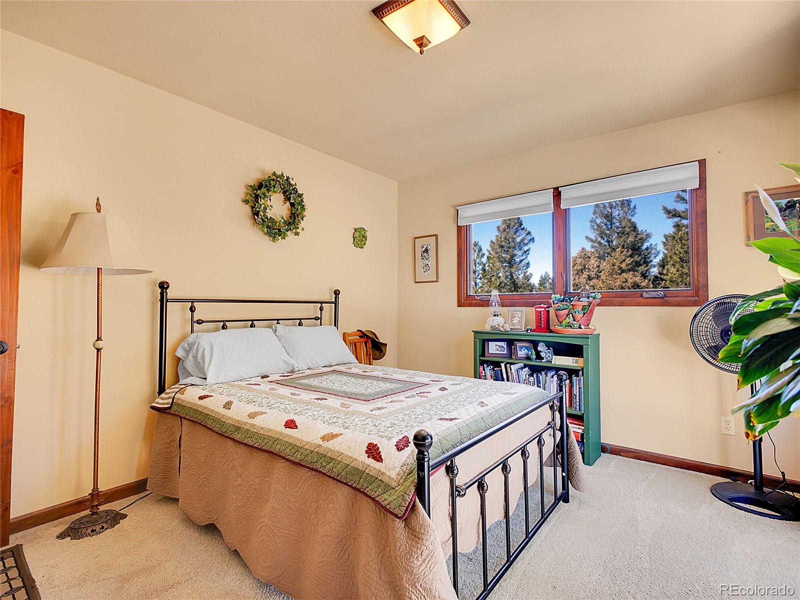 MLS Image #18 for 13012 s wamblee valley road,conifer, Colorado