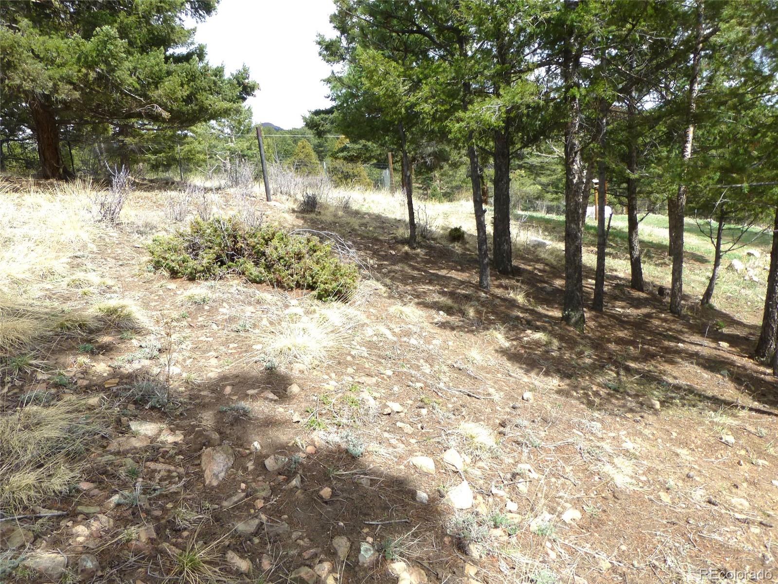 MLS Image #30 for 13012 s wamblee valley road,conifer, Colorado