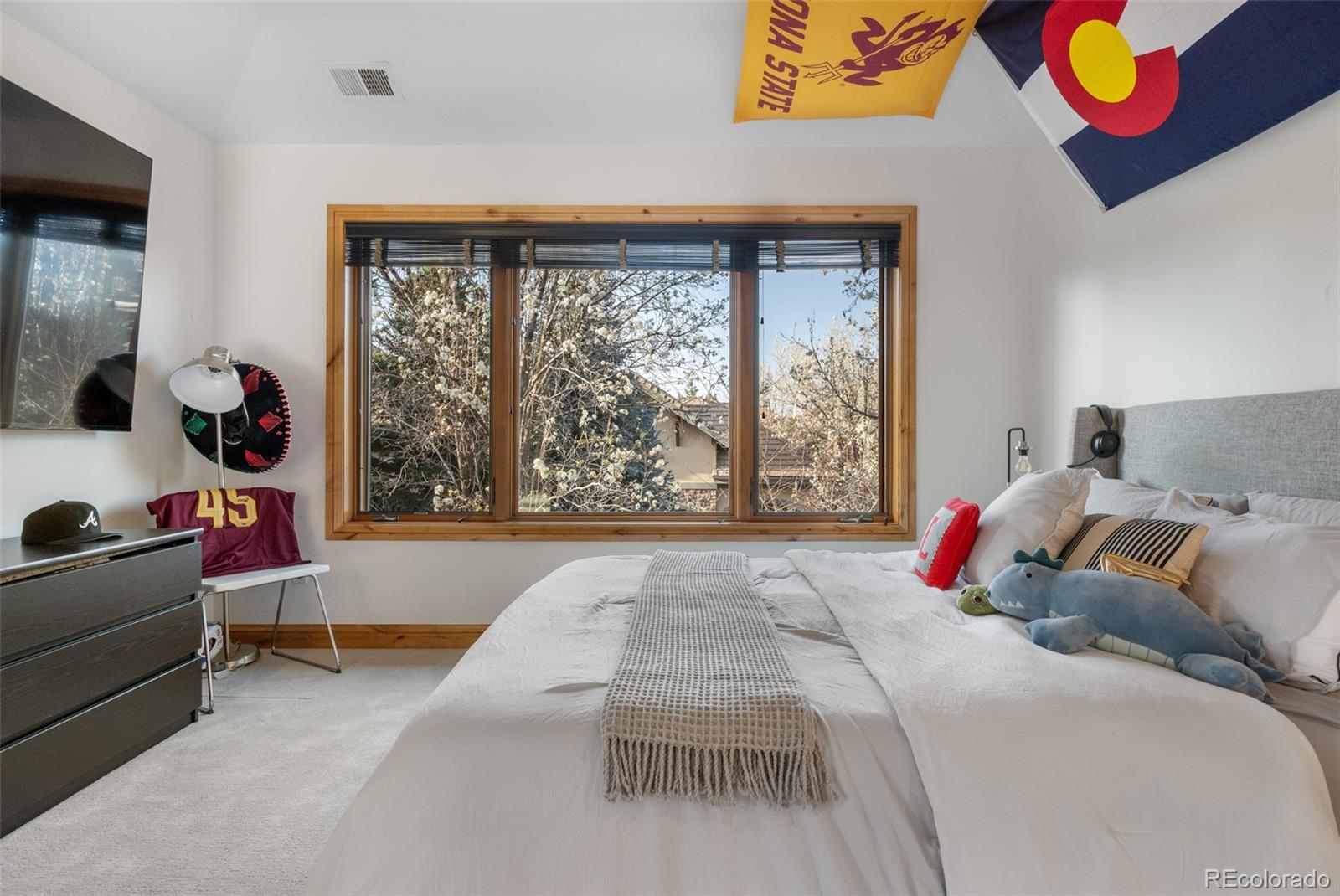 MLS Image #21 for 35  brookhaven lane,littleton, Colorado
