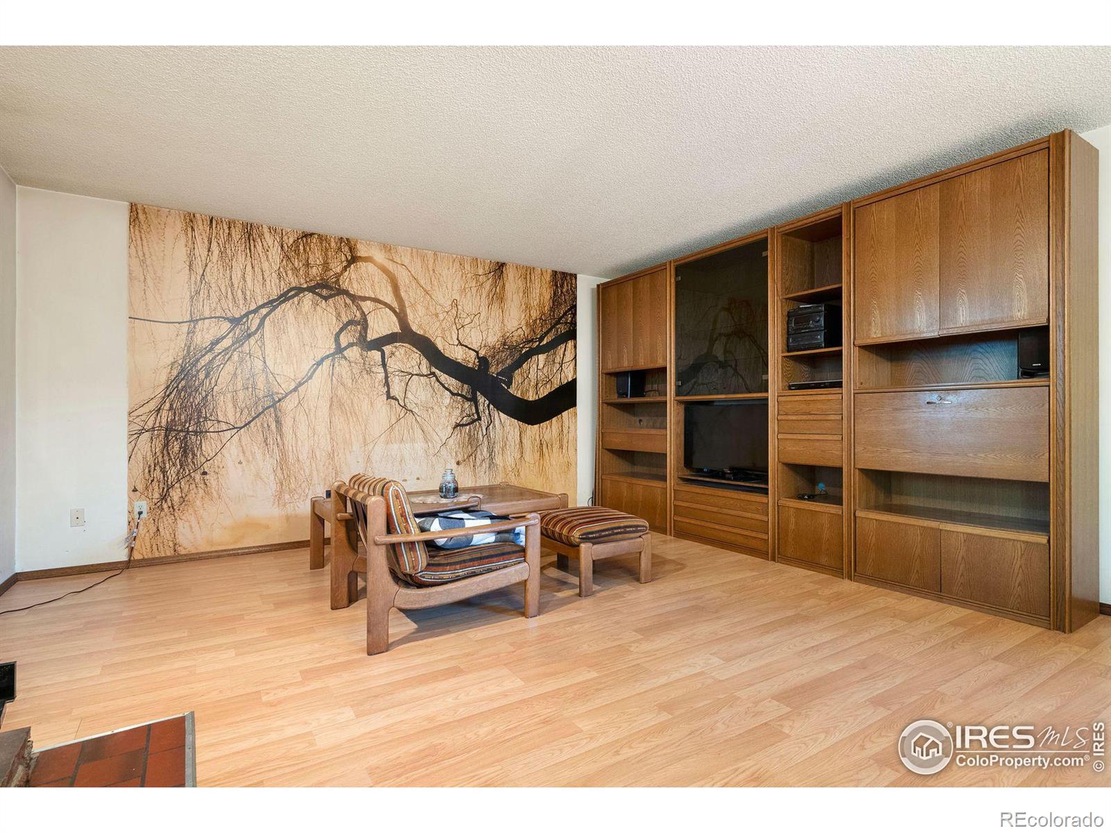 MLS Image #5 for 337  eagle court,longmont, Colorado