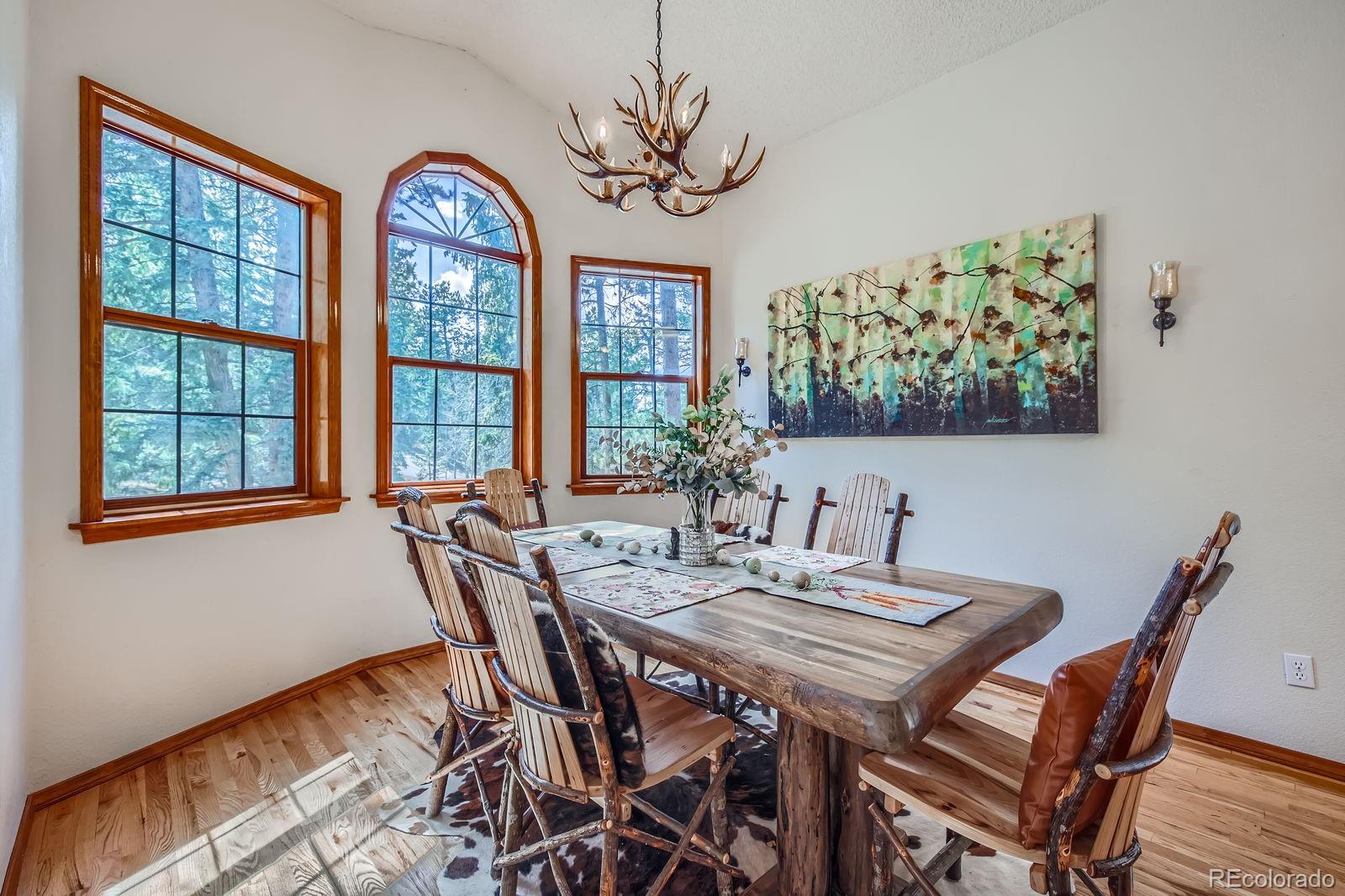 MLS Image #10 for 3415  regent drive,woodland park, Colorado