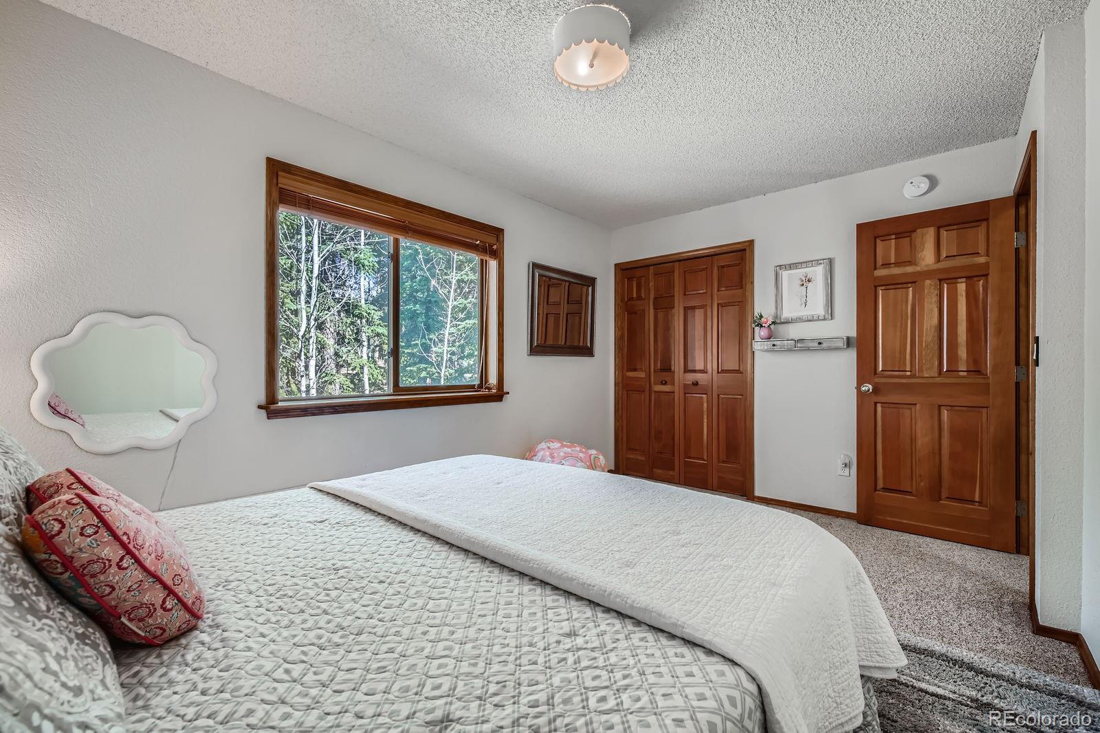 MLS Image #19 for 3415  regent drive,woodland park, Colorado