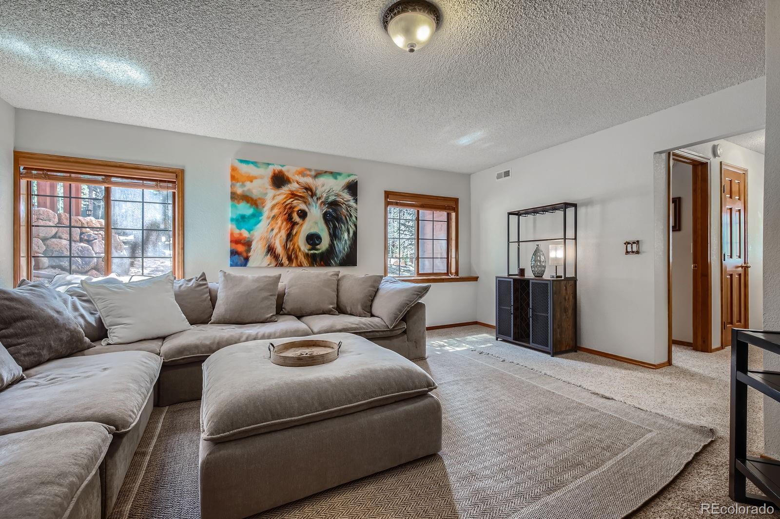 MLS Image #23 for 3415  regent drive,woodland park, Colorado