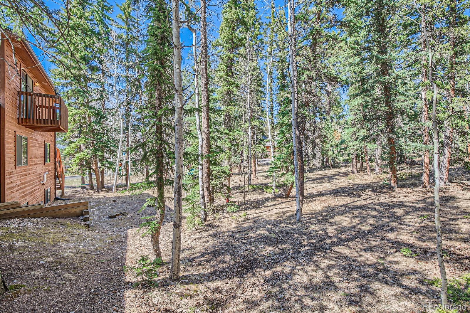 MLS Image #30 for 3415  regent drive,woodland park, Colorado