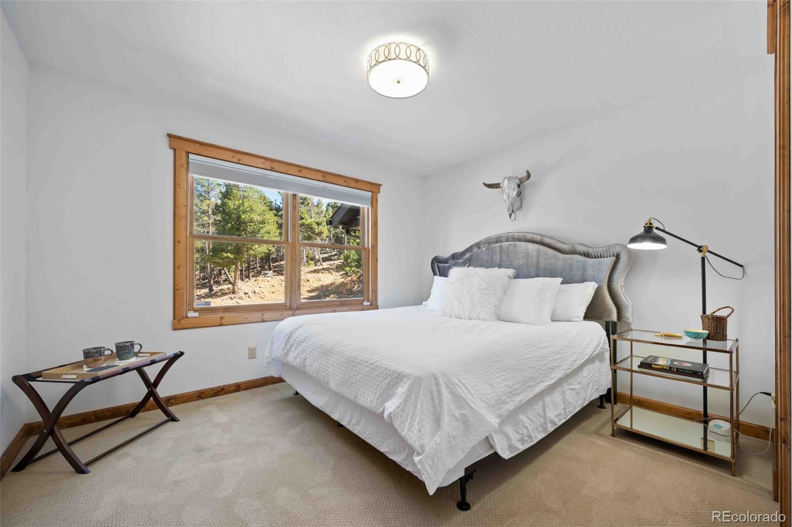 MLS Image #20 for 538  sawmill creek road,evergreen, Colorado