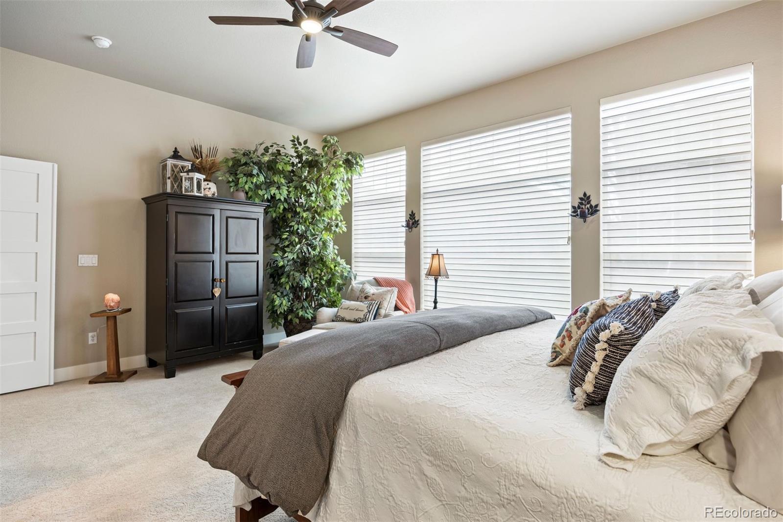 MLS Image #34 for 9799  clandan court,parker, Colorado