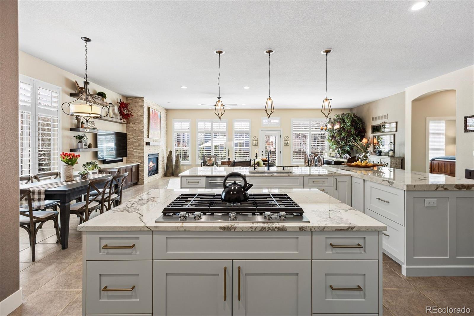 MLS Image #8 for 9799  clandan court,parker, Colorado