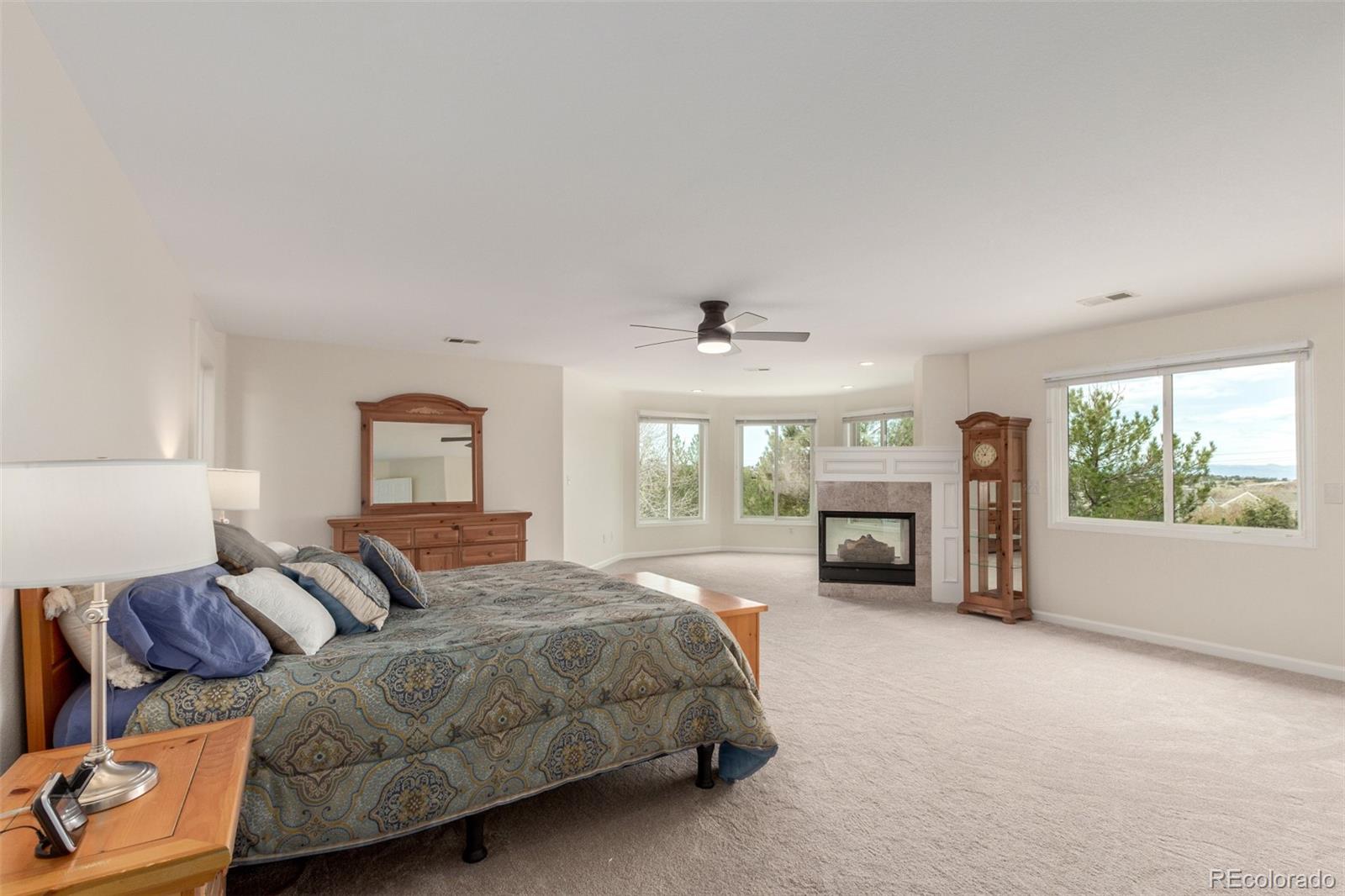MLS Image #20 for 6391 s malaya street,centennial, Colorado