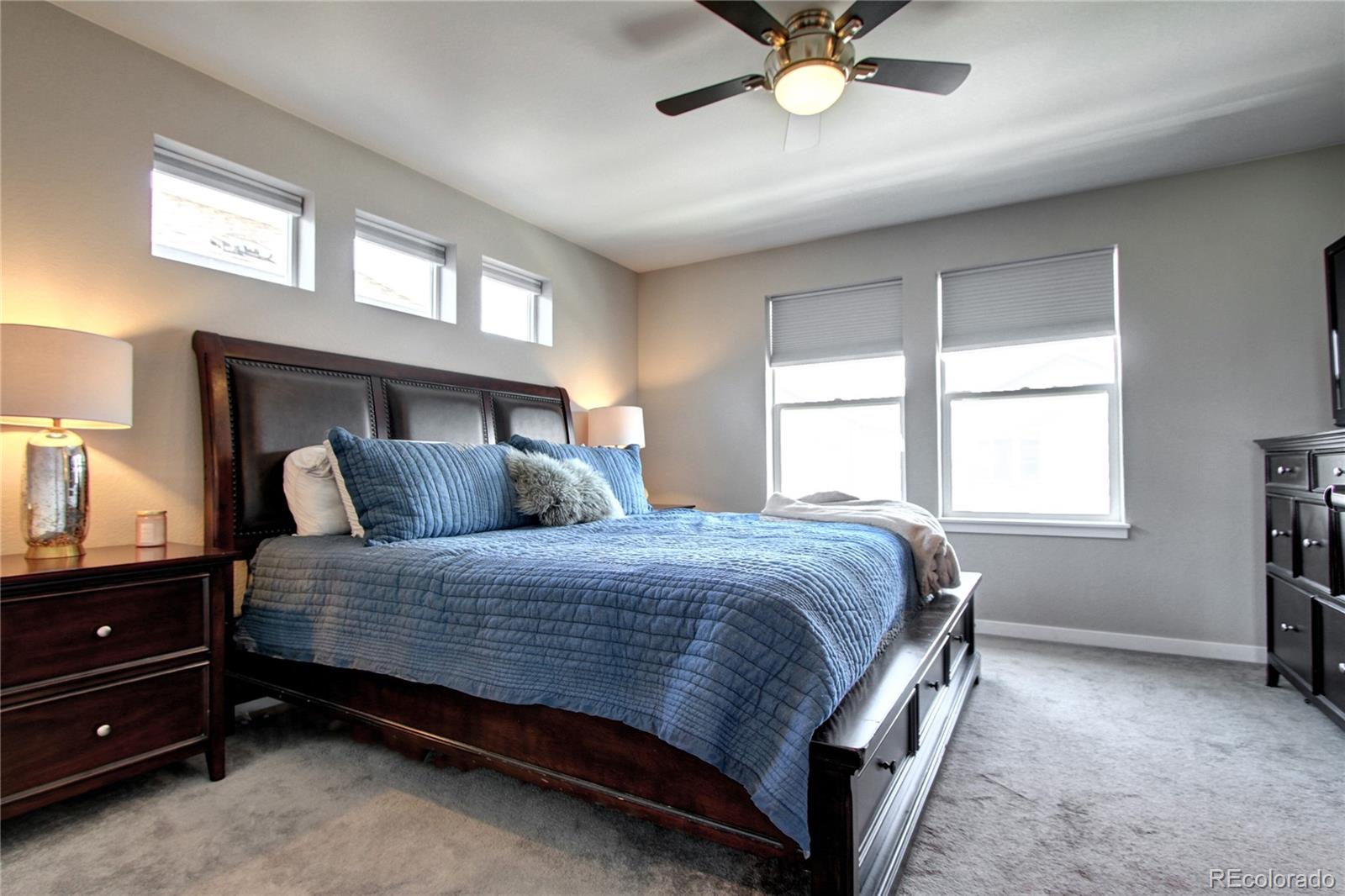 MLS Image #22 for 4100  albion street,denver, Colorado