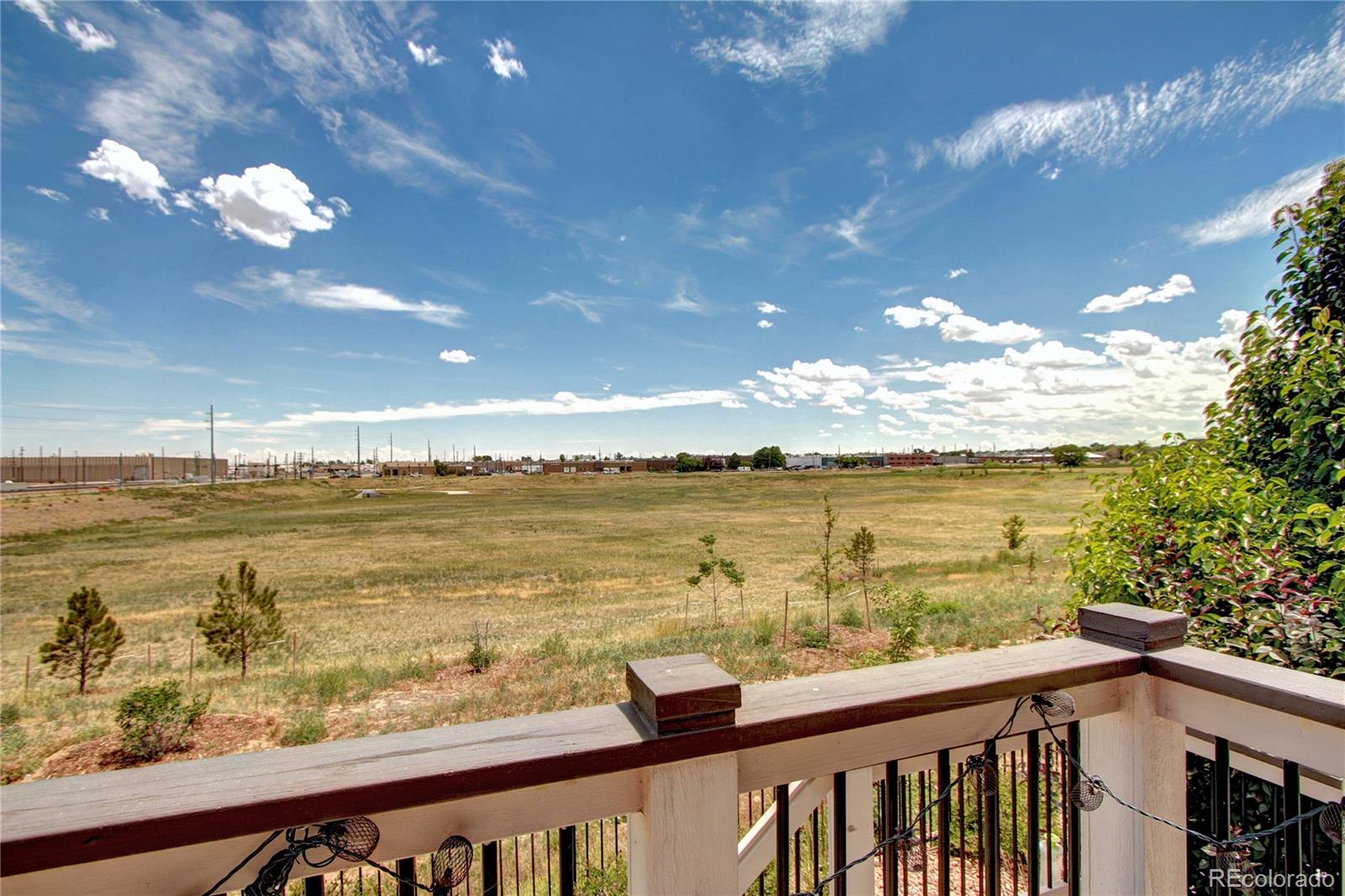 MLS Image #7 for 4100  albion street,denver, Colorado