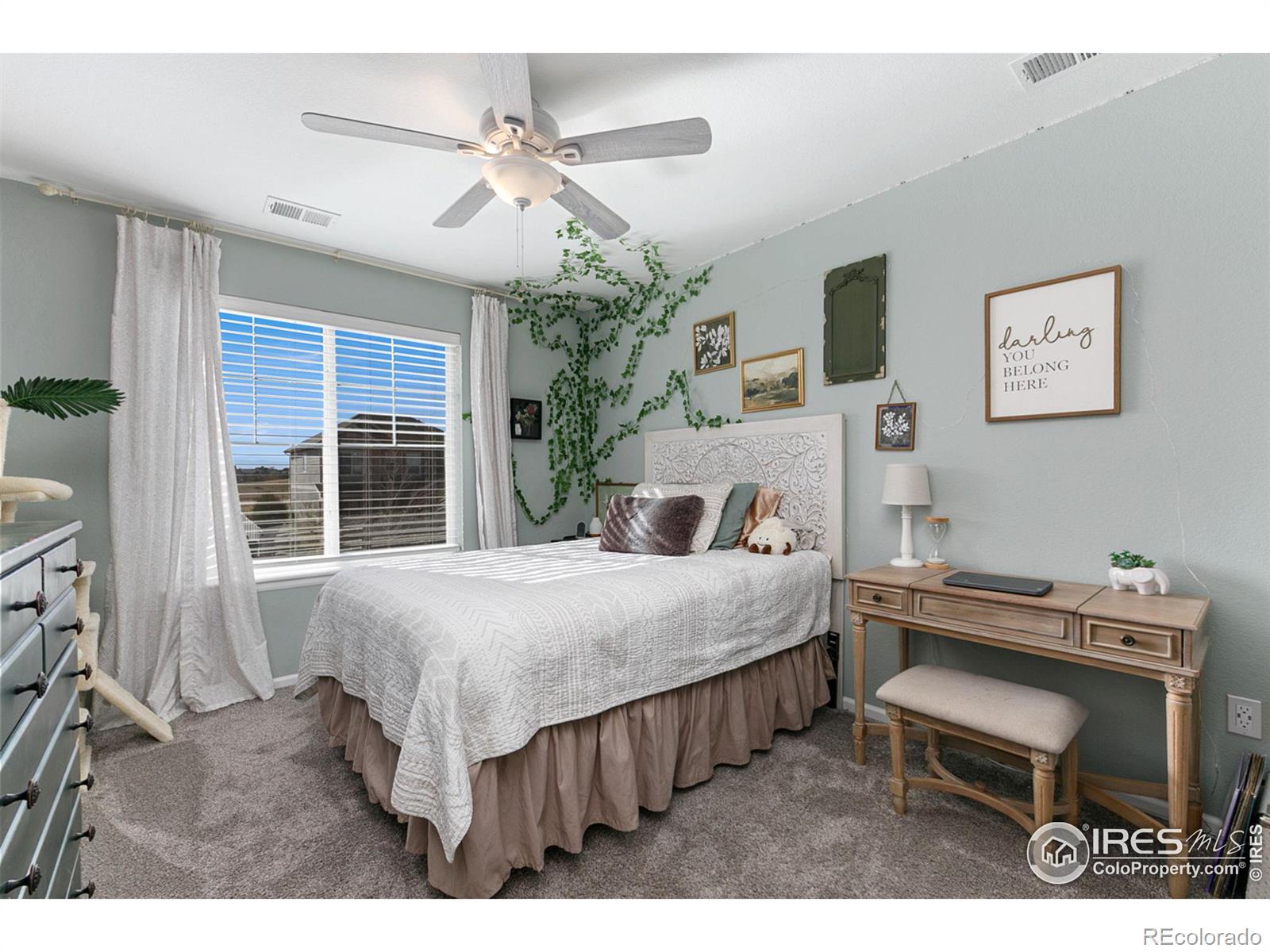 MLS Image #24 for 5481  carmon drive,windsor, Colorado