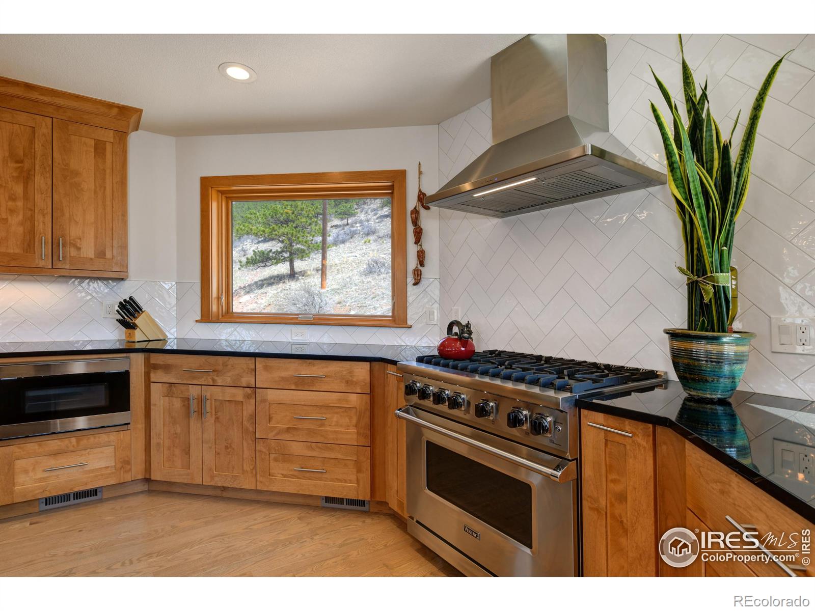 MLS Image #12 for 816  mountain view drive,lyons, Colorado