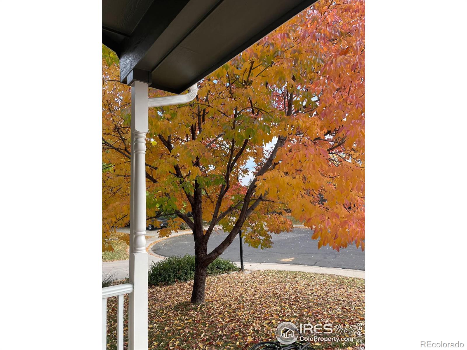 MLS Image #0 for 918  benson lane,fort collins, Colorado
