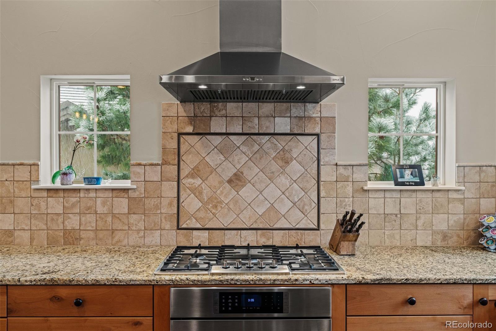MLS Image #12 for 5149  le duc lane,castle rock, Colorado