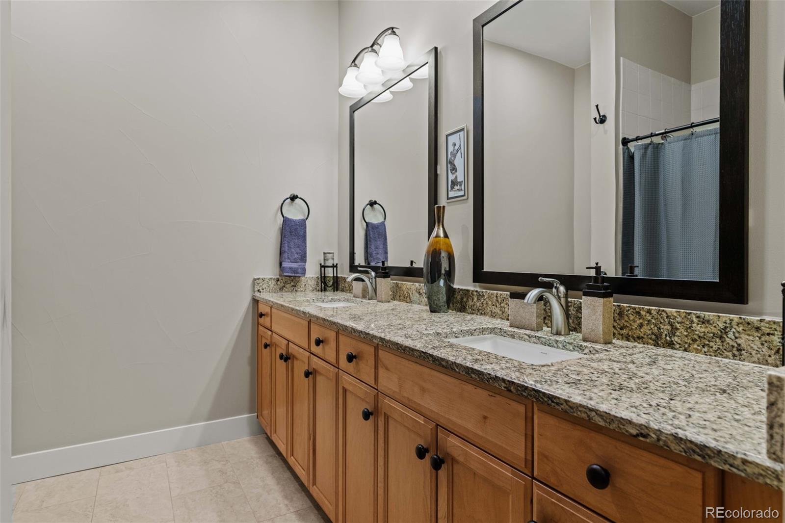 MLS Image #35 for 5149  le duc lane,castle rock, Colorado