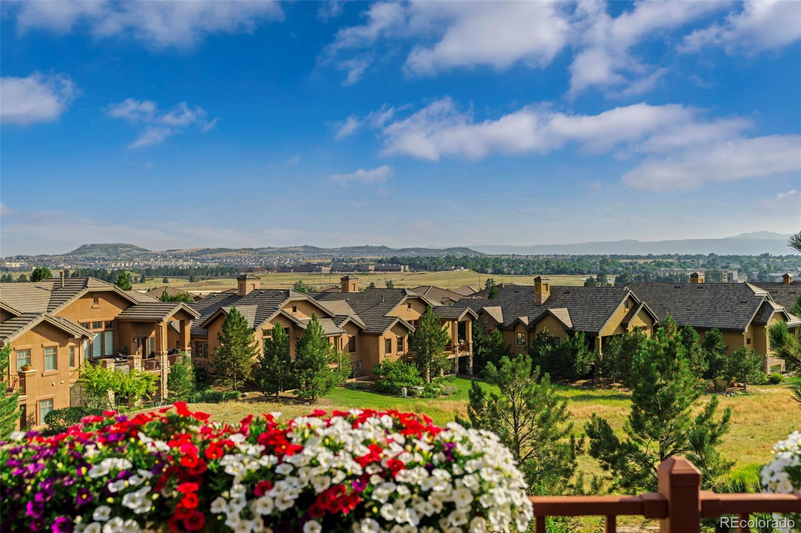 MLS Image #38 for 5149  le duc lane,castle rock, Colorado