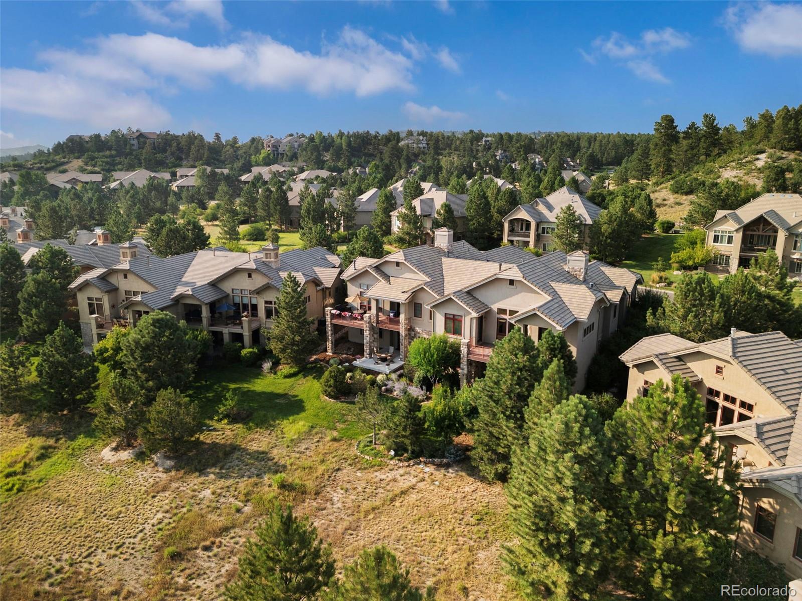 MLS Image #46 for 5149  le duc lane,castle rock, Colorado