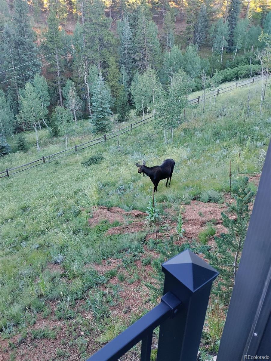 MLS Image #32 for 1536  clark road,bailey, Colorado