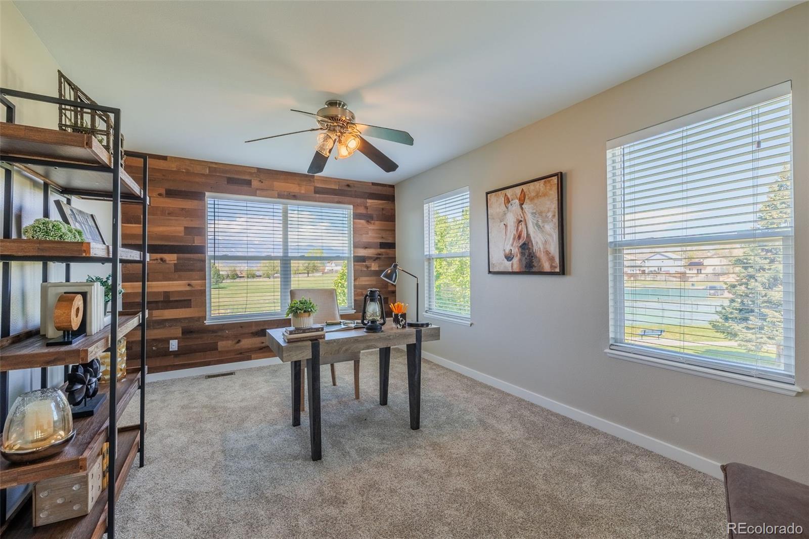 MLS Image #11 for 4640  fencer road,colorado springs, Colorado
