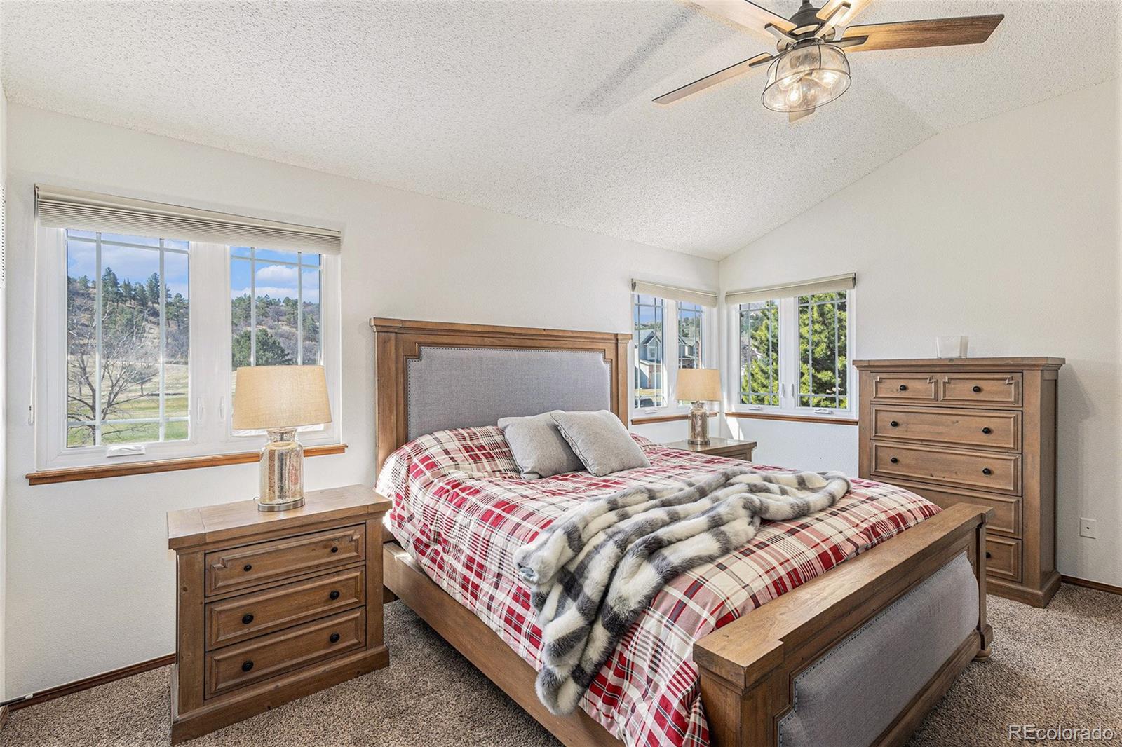 MLS Image #11 for 1310  carlson drive,colorado springs, Colorado