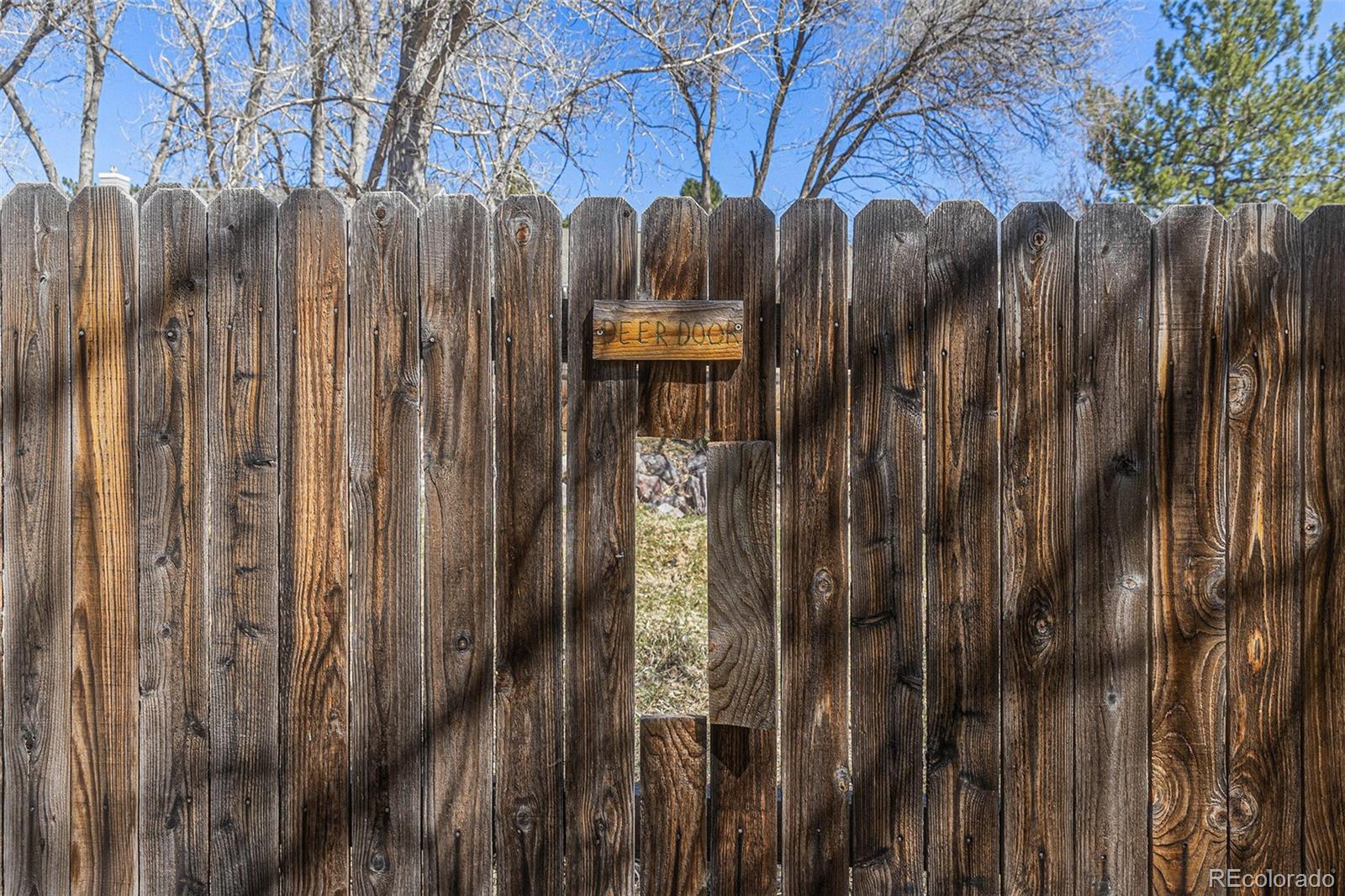 MLS Image #28 for 1310  carlson drive,colorado springs, Colorado
