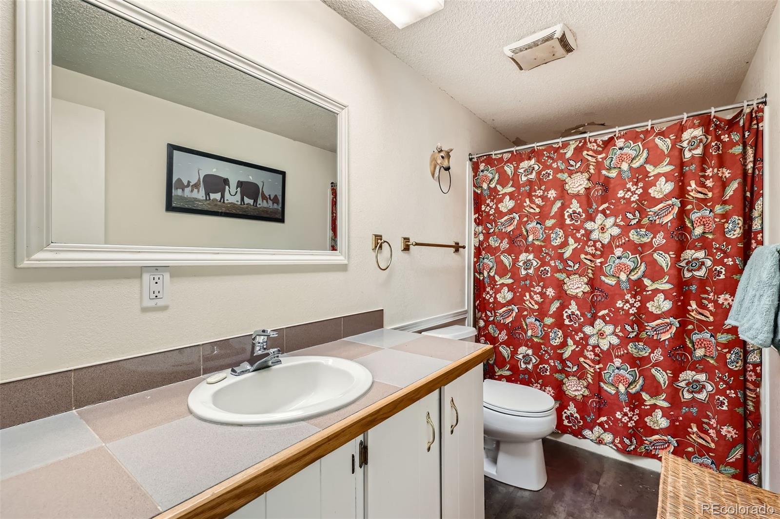 MLS Image #15 for 299  evergreen road,woodland park, Colorado