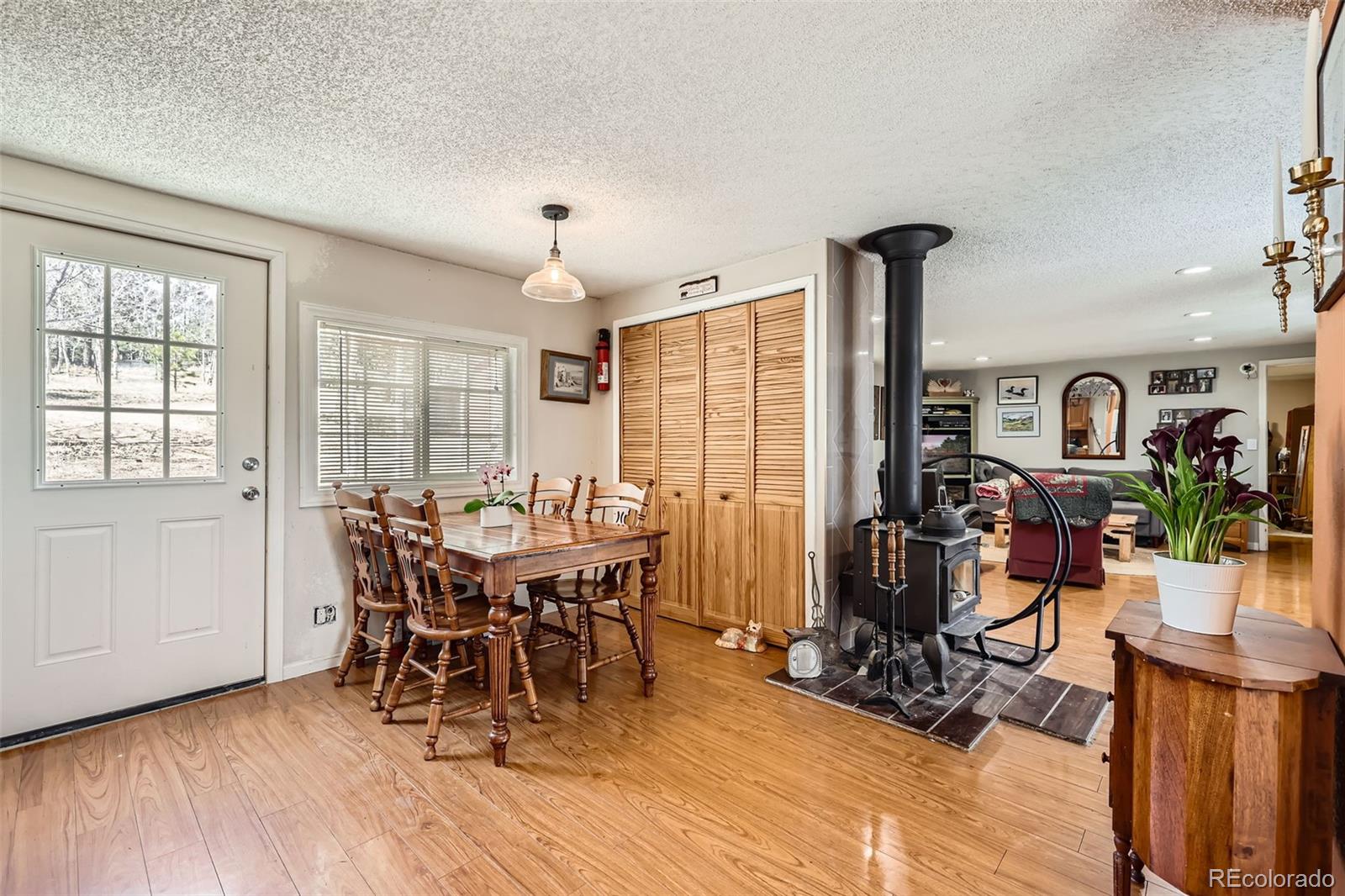 MLS Image #8 for 299  evergreen road,woodland park, Colorado