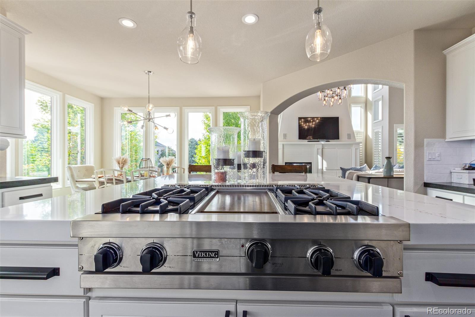 MLS Image #10 for 618  fairchild drive,highlands ranch, Colorado