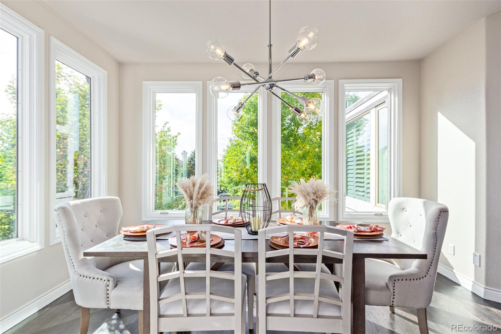 MLS Image #6 for 618  fairchild drive,highlands ranch, Colorado