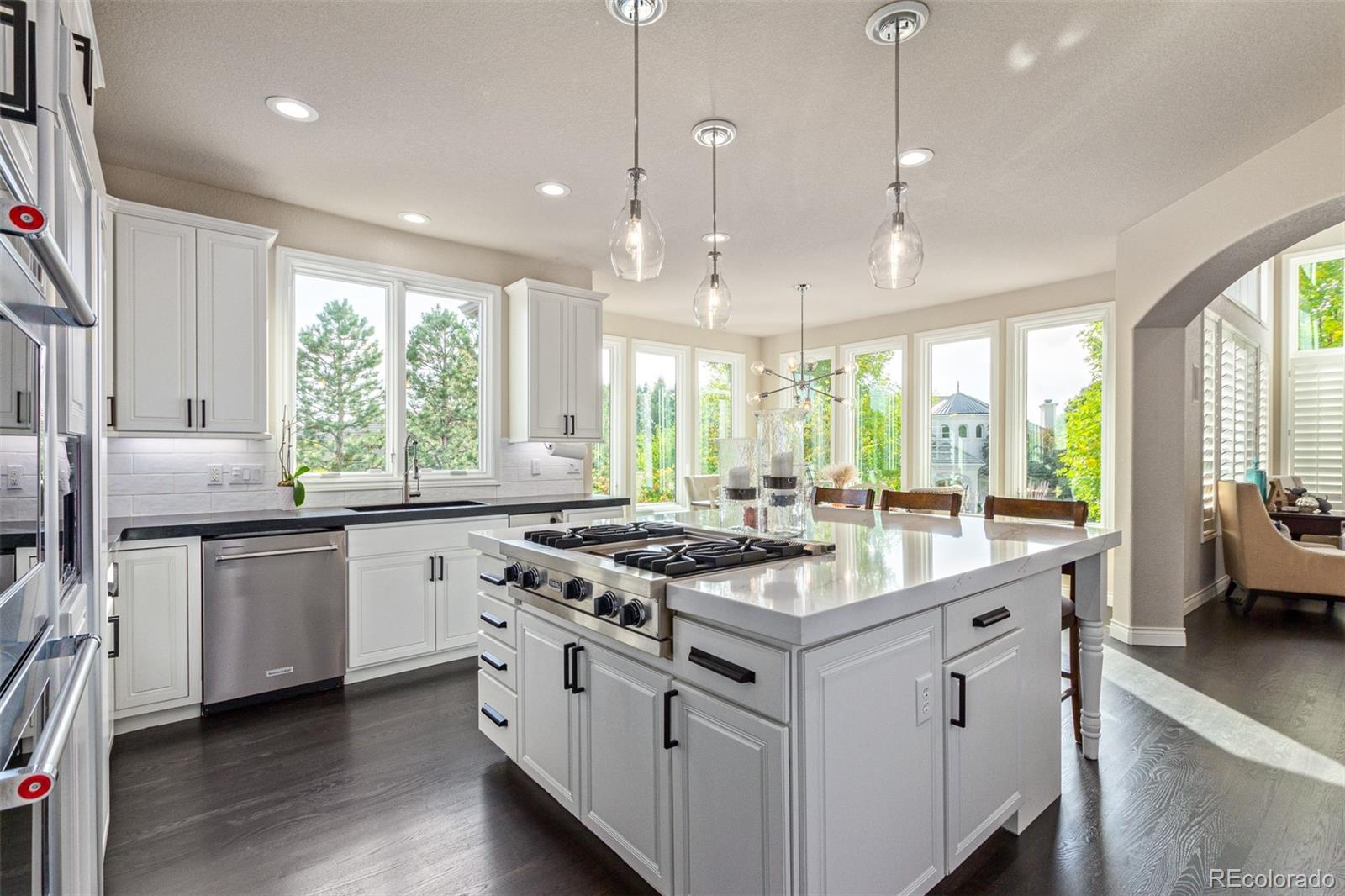 MLS Image #9 for 618  fairchild drive,highlands ranch, Colorado