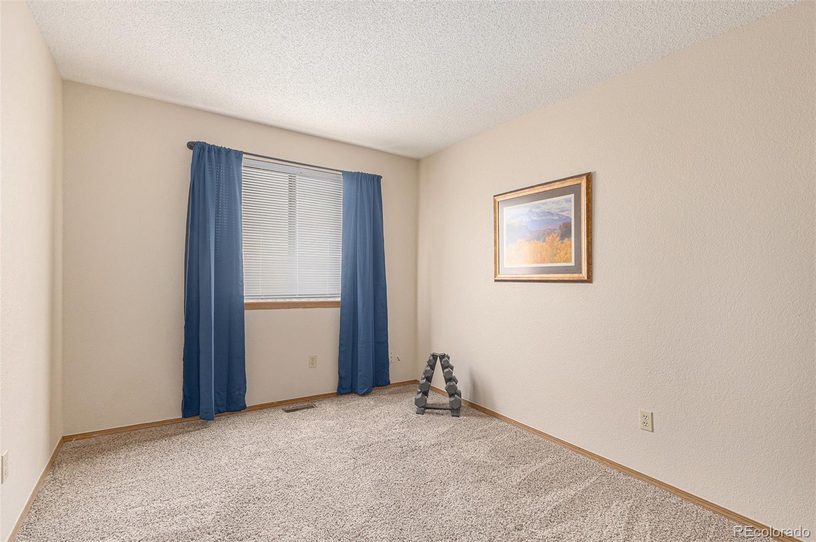 MLS Image #13 for 4051  anvil drive,colorado springs, Colorado