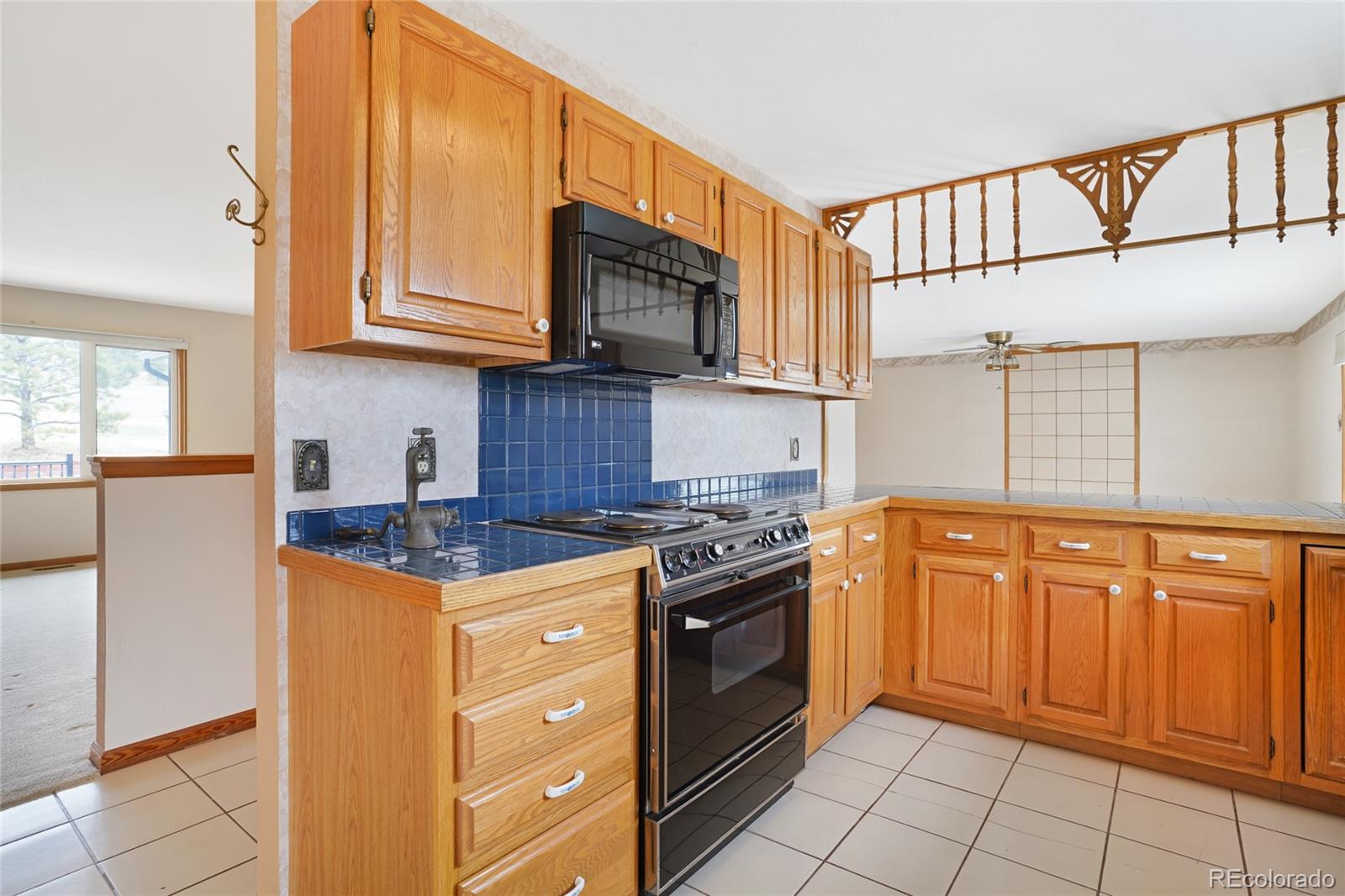 MLS Image #23 for 2130  frontier lane,franktown, Colorado