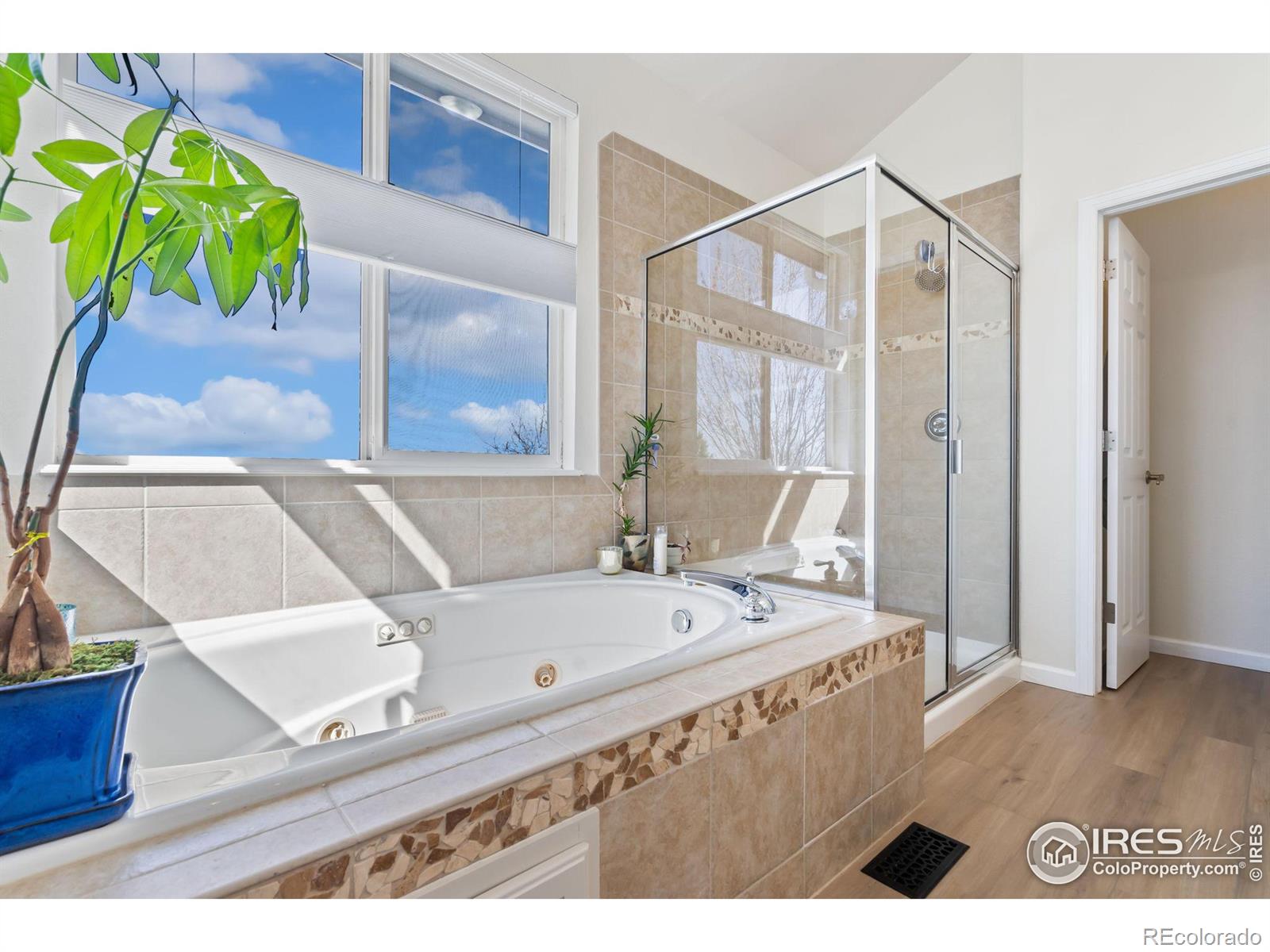 MLS Image #19 for 3817  brunner boulevard,johnstown, Colorado