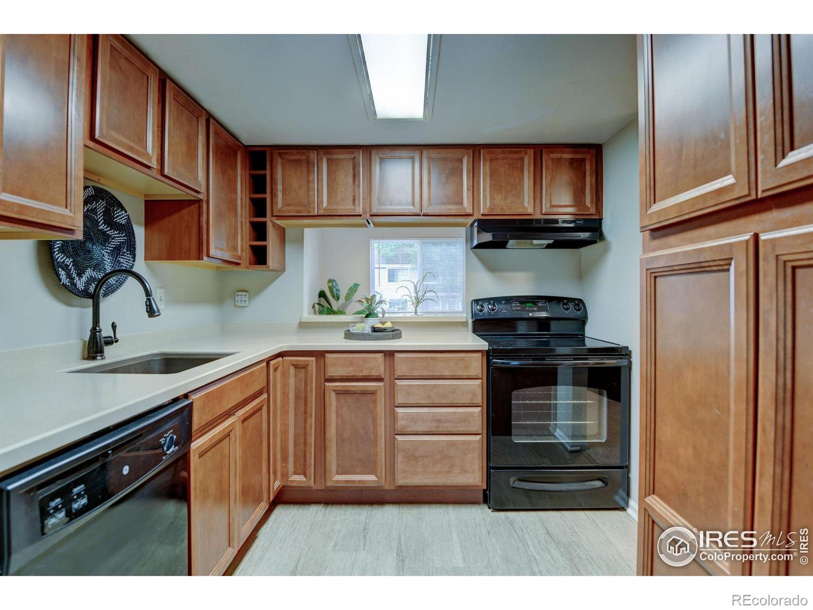 MLS Image #0 for 2924  ross drive,fort collins, Colorado