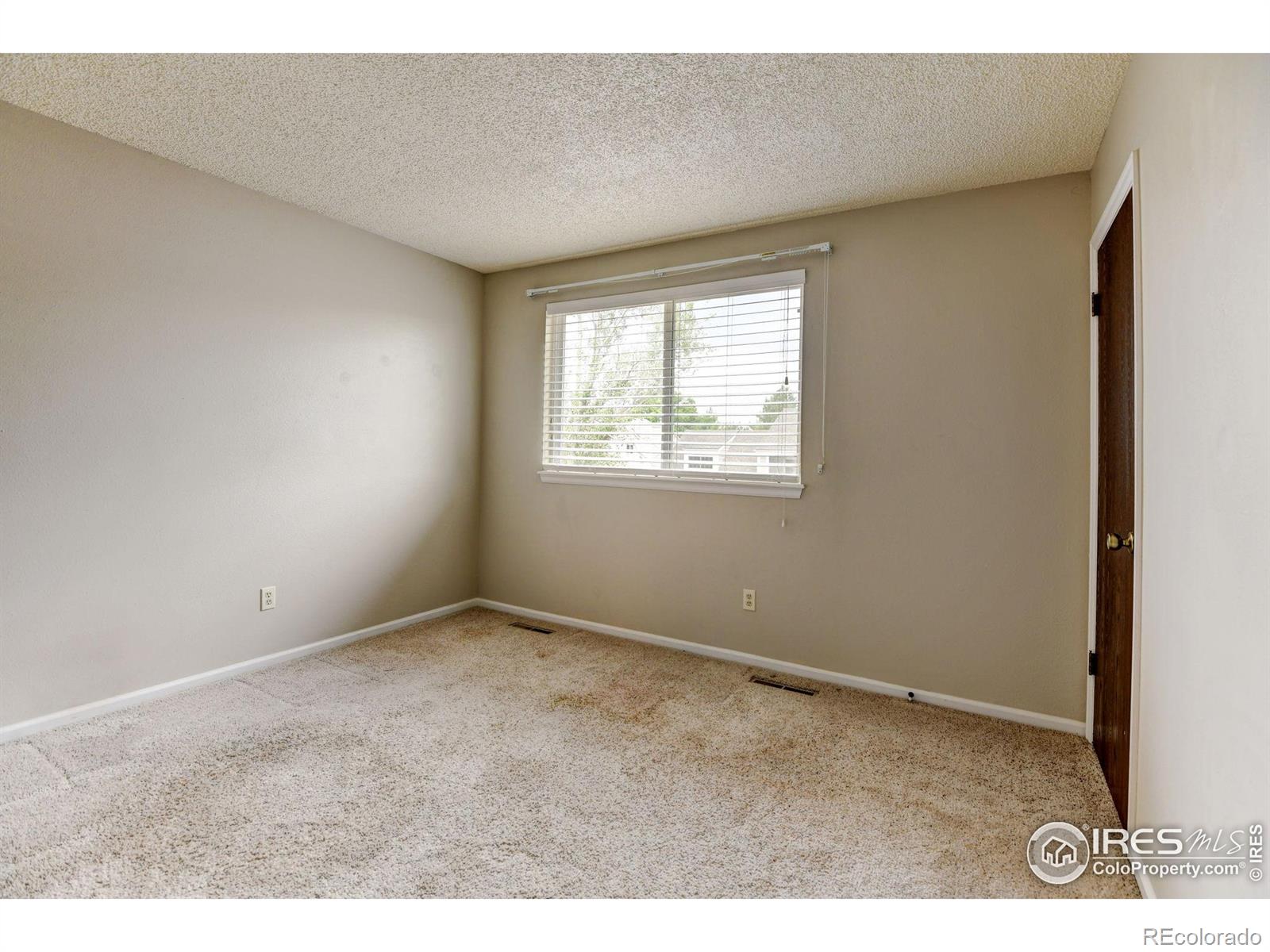 MLS Image #21 for 2924  ross drive,fort collins, Colorado