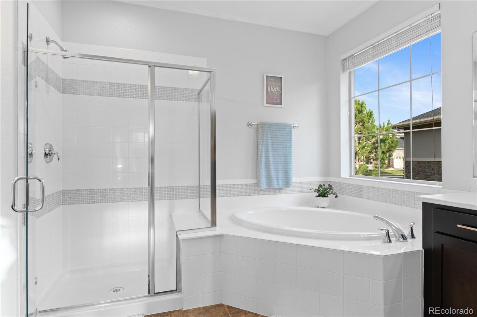 MLS Image #18 for 13673  osage street,broomfield, Colorado