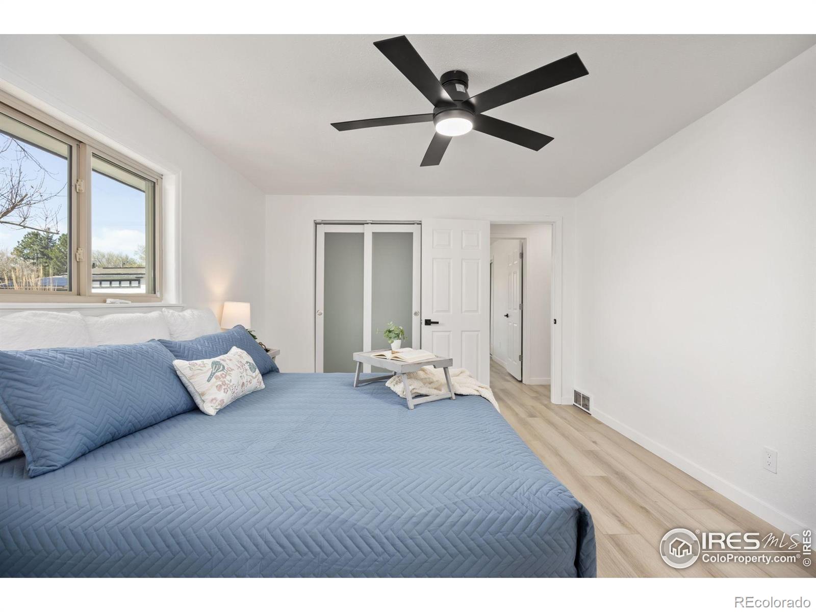 MLS Image #17 for 1643  vivian street,longmont, Colorado