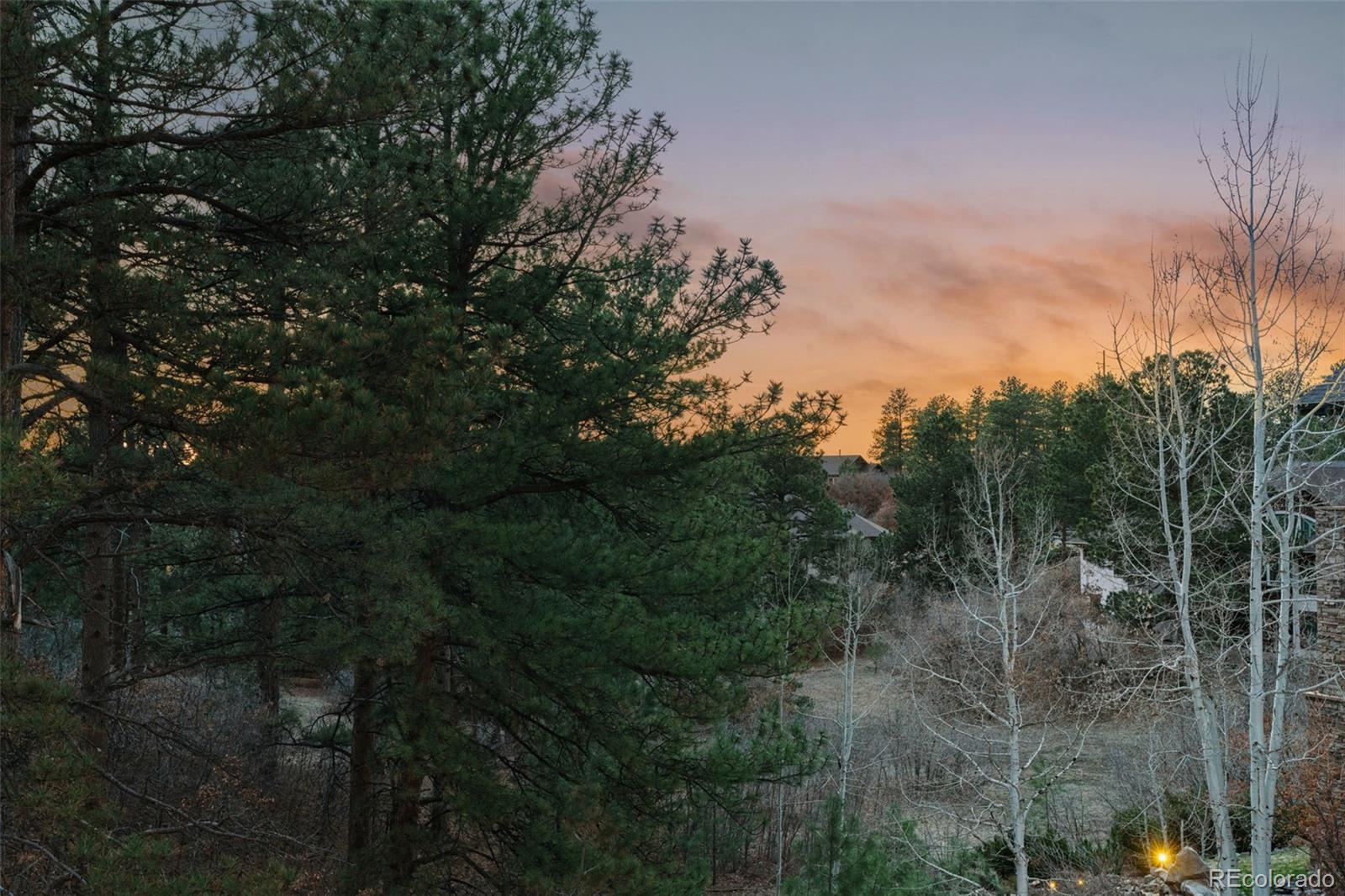 MLS Image #48 for 2580  saddleback drive,castle rock, Colorado