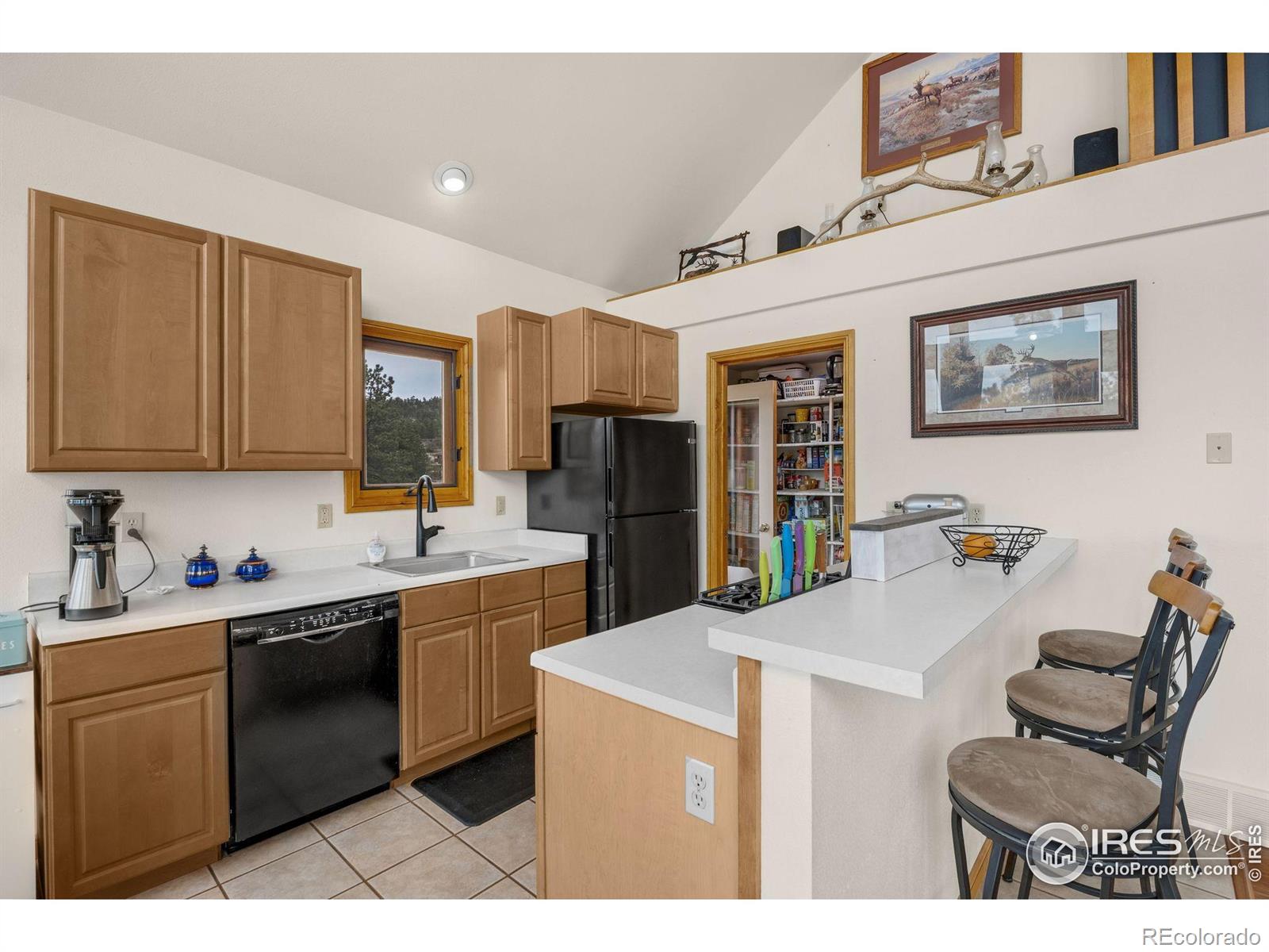 MLS Image #16 for 119  turtle rock court,livermore, Colorado