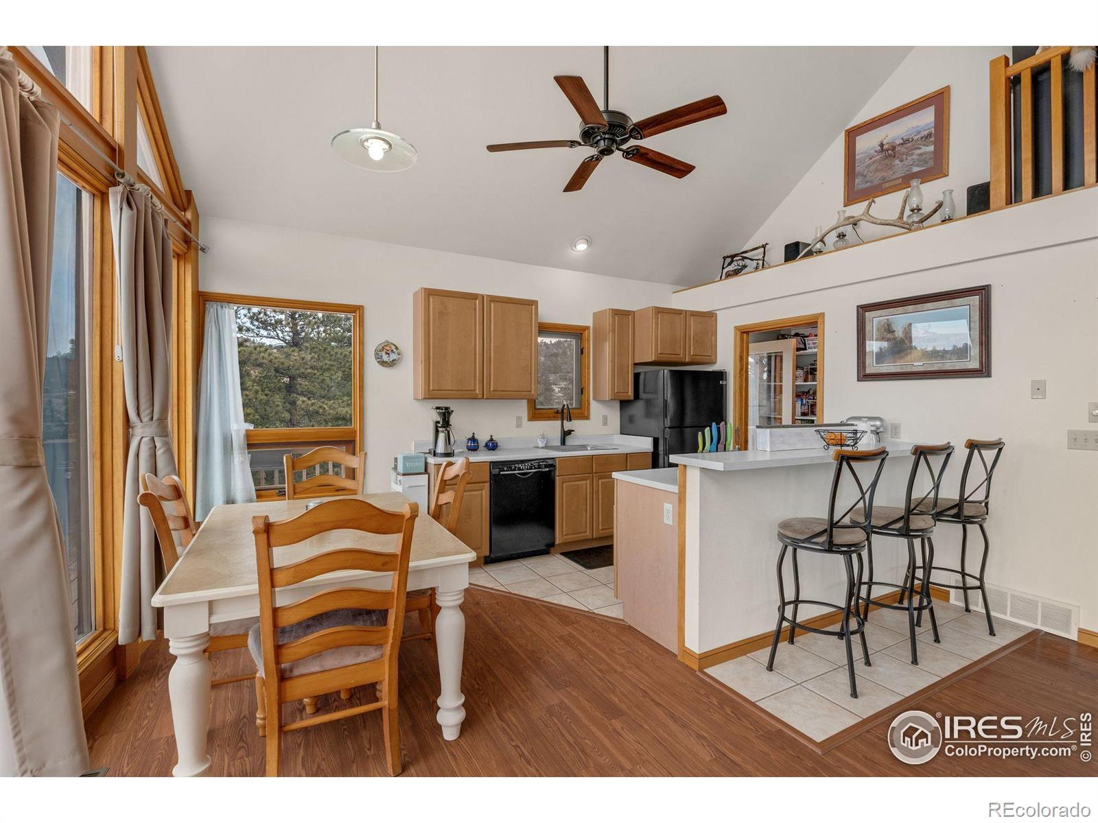 MLS Image #17 for 119  turtle rock court,livermore, Colorado