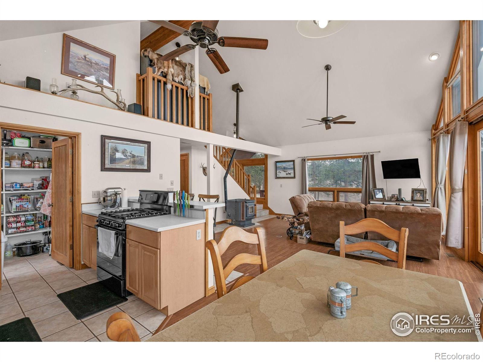 MLS Image #18 for 119  turtle rock court,livermore, Colorado