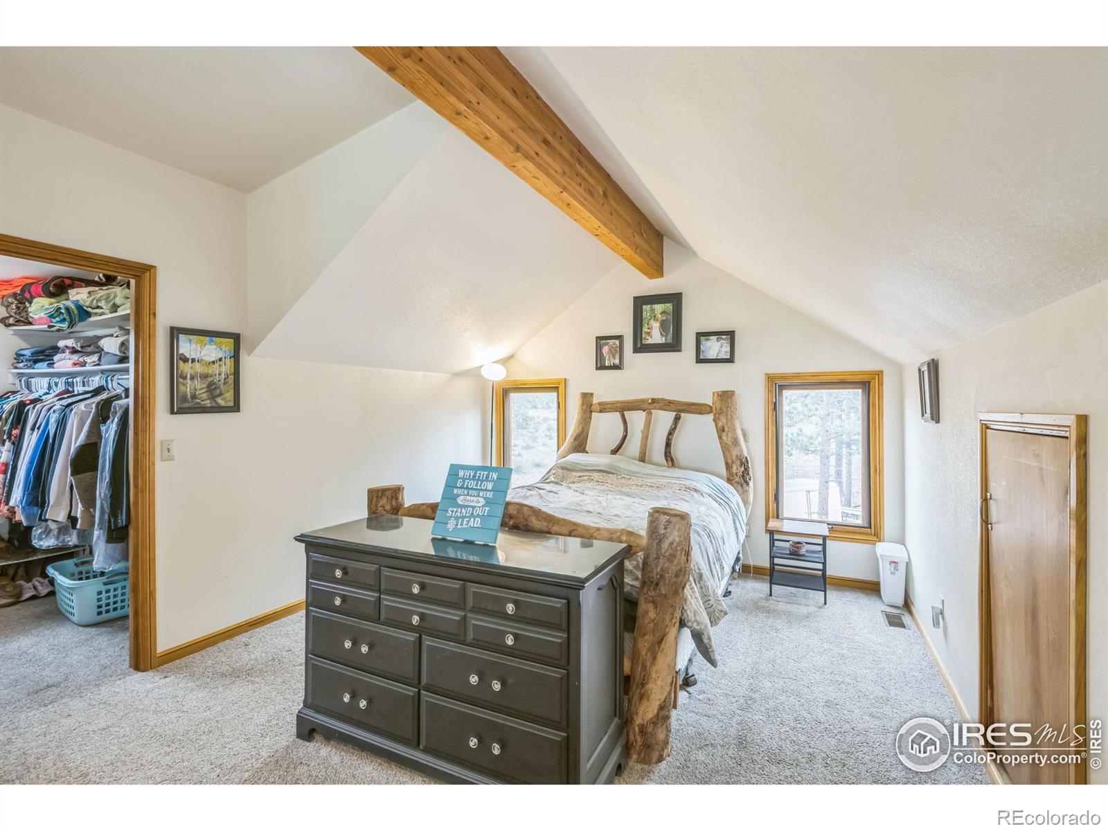 MLS Image #21 for 119  turtle rock court,livermore, Colorado
